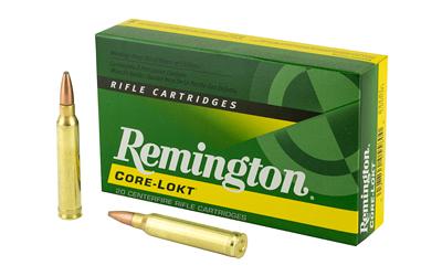 Rem Ammo .300wm 180gr. Psp