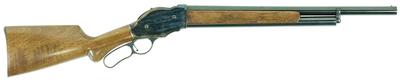 Chiappa 1887 12ga