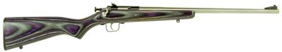 Crickett Rifle G2 .22lr